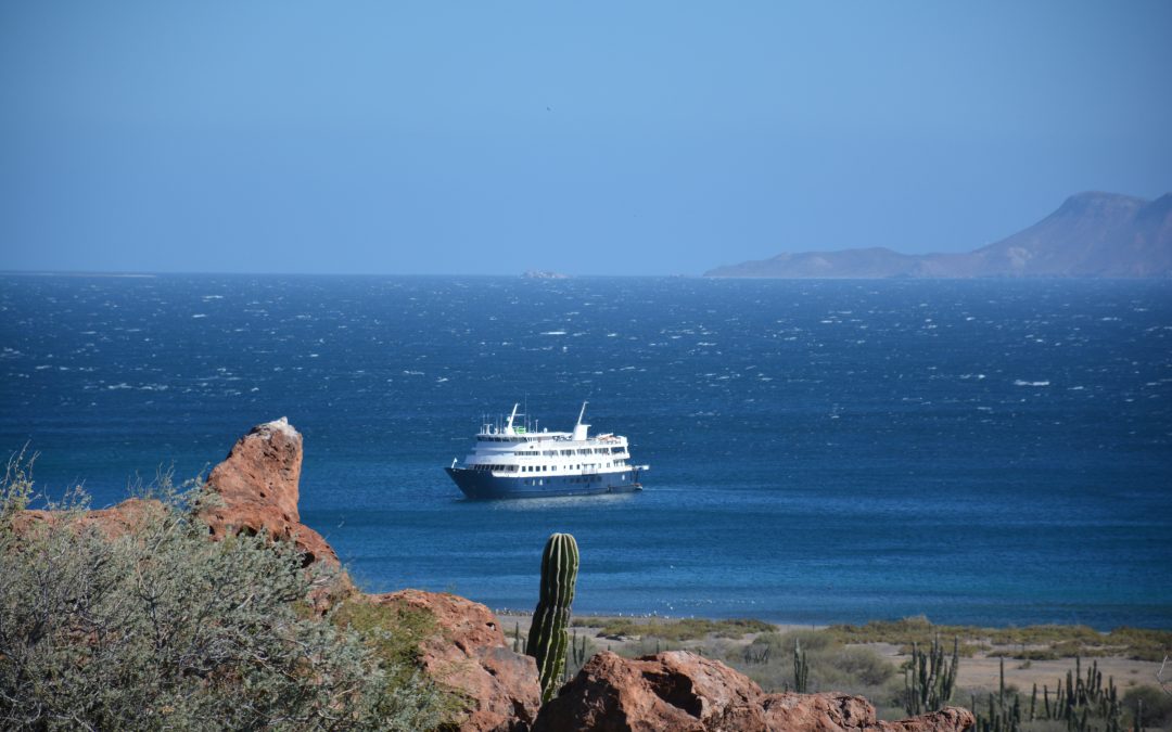 Exploring Baja California Sur with UnCruise Adventures