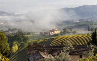 Culinary Adventures through the Vineyards of Italy’s Picturesque Countyside