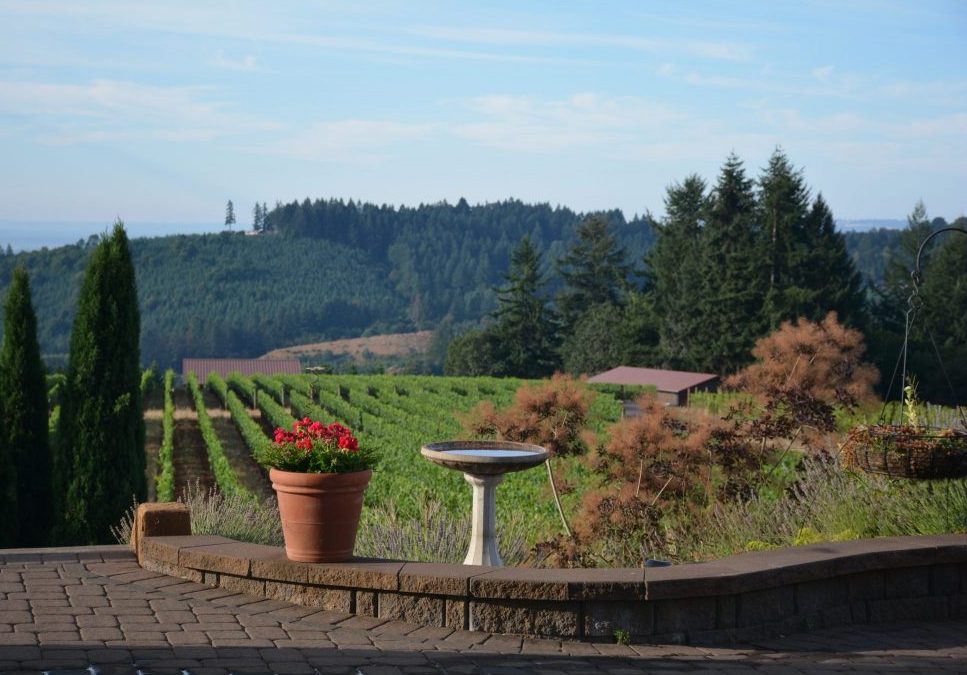 Visit Willamette Valley – The Majestic Oregon Wine Trail