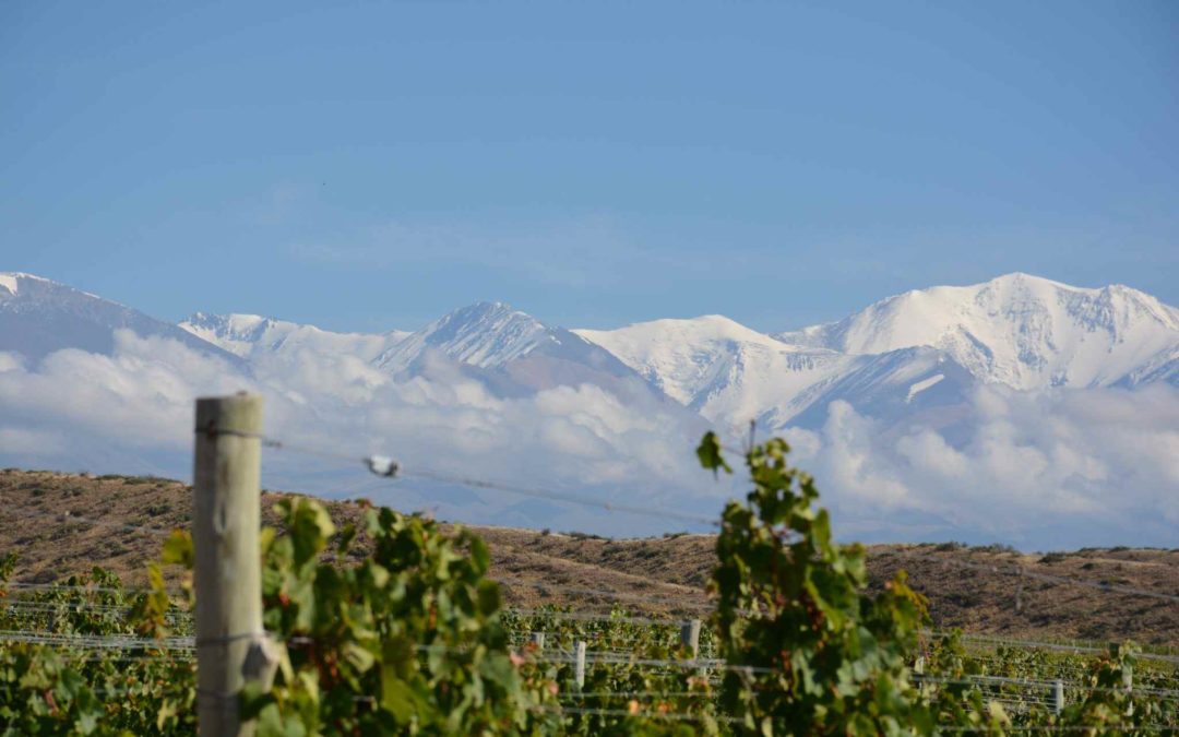 Visit Mendoza Argentina 4-Star Resorts and Inspired Cuisine