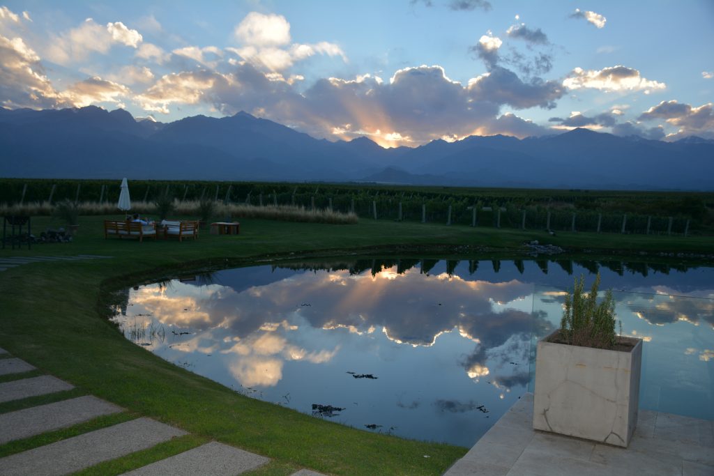 Mendoza Wine Region