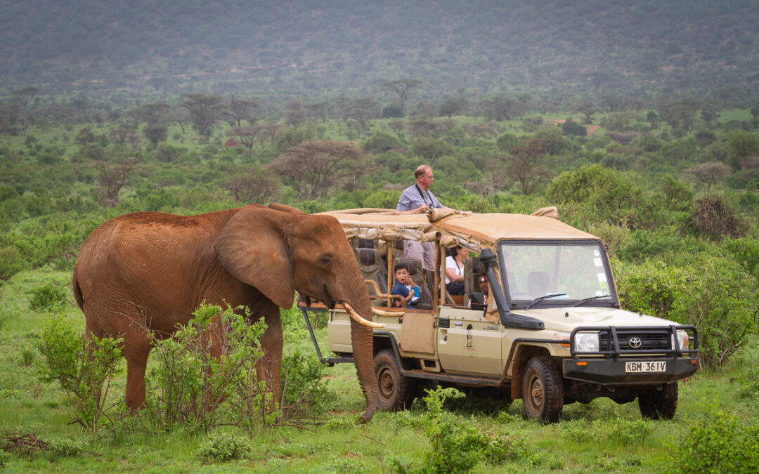 Planning a Safari in Africa