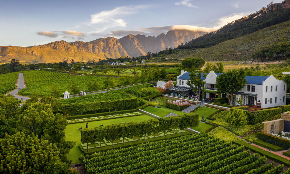 Exploring Winelands In South Africa